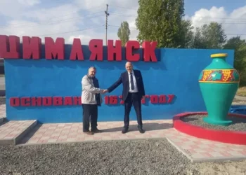 ВОПРОСЫ РУКОВОДСТВУ ЦИМЛЯНСКА