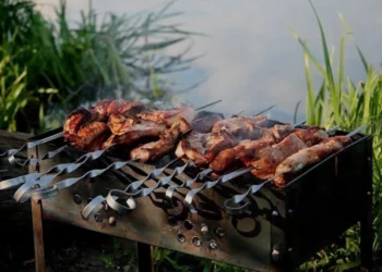 ШАШЛЫКИ ПОД ЗАПРЕТОМ