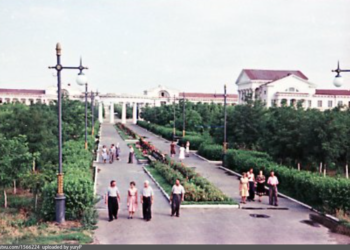ПАРК «ПРИМОРСКИЙ», ОЧЕРЕДНОЙ ТУПИК