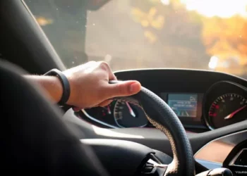 ЛЕКАРСТВА И ПРАВА