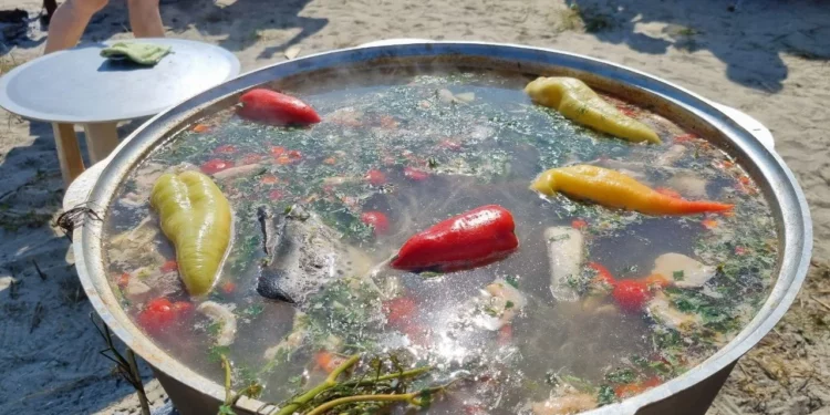 РЫБАЛКА И УХА