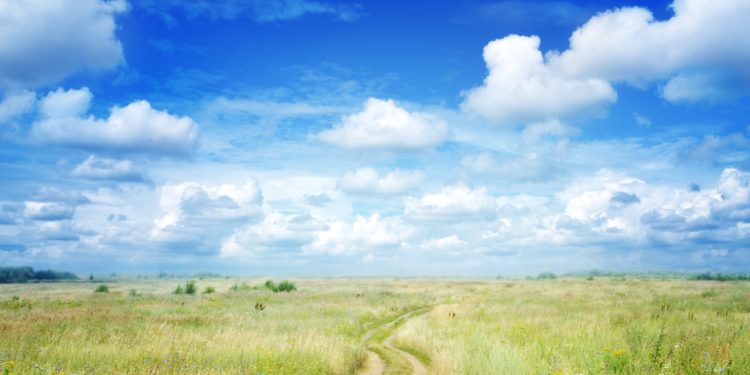 К нам спешат жара и дожди