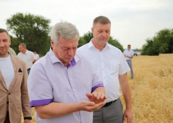 ЖАТВА НА ДОНУ
