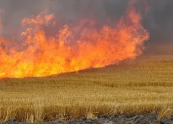 Три пожара на донских полях