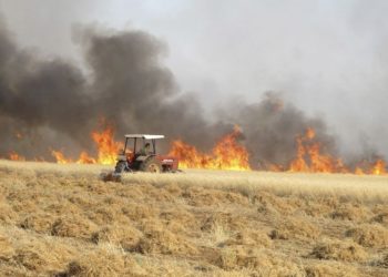 100 пожаров за неделю