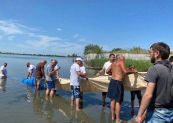 ВЫПУСТИЛИ МАЛЬКОВ
