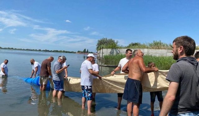 ВЫПУСТИЛИ МАЛЬКОВ