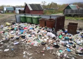 НЕОБЫЧНО НО…