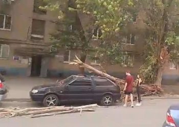 ТОПОЛЬ УПАЛ НА АВТО, СОВЕТЫ ЮРИСТА