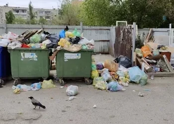 МУСОРНАЯ РЕФОРМА