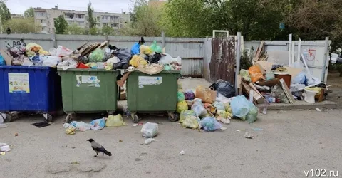 МУСОРНАЯ РЕФОРМА