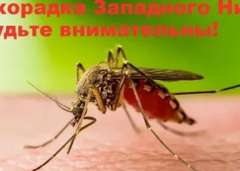 ПОБЕРЕГИСЬ!