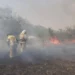 ГОРИТ ЛОЗНОВСКИЙ ЛЕС