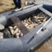 БРАКОНЬЕРИЛИ