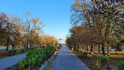 ПОГОДА В ВЫХОДНЫЕ