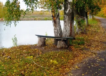 ПОГОДА НА НЕДЕЛЮ
