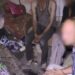 ОСВОБОДИЛИ ИЗ РАБСТВА