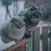 ПОГОДА НА НЕДЕЛЮ