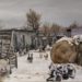 ВОТ МОЯ ДЕРЕВНЯ