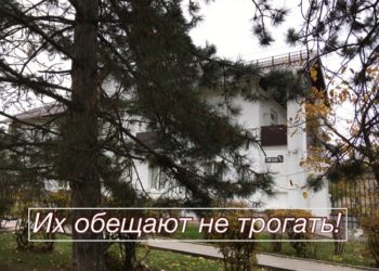СОСНЫ, ИТОГИ ДНЯ