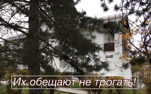 СОСНЫ, ИТОГИ ДНЯ