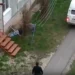 ВЫБРОСИЛ ИЗ ОКНА