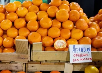 КУШАЙТЕ САМИ