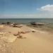 УРОВЕНЬ МОРЯ