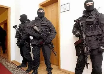 «МАСКИ ШОУ» ВОЛГОДОНСК