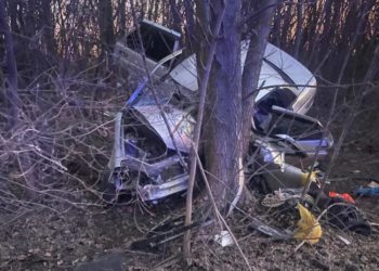 ВРЕЗАЛСЯ В ДЕРЕВО