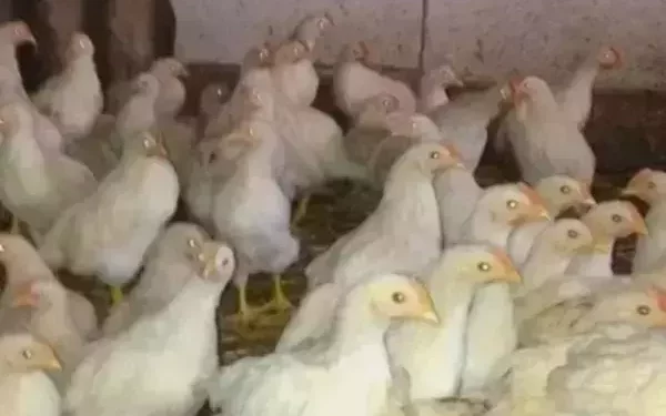 КАРАНТИН СНЯТ