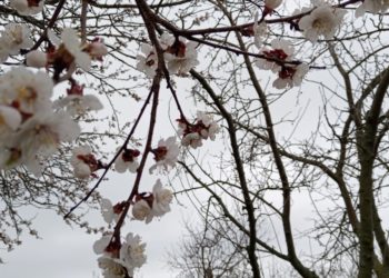 ПОГОДА В ВЫХОДНЫЕ