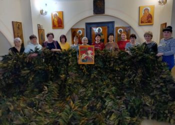 «НИКОЛУШКИНЫ СЕТОЧКИ»