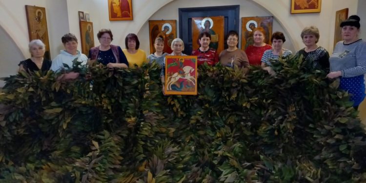 «НИКОЛУШКИНЫ СЕТОЧКИ»