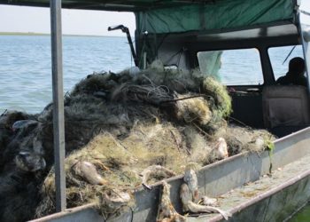 ЧИСТИЛИ МОРЕ