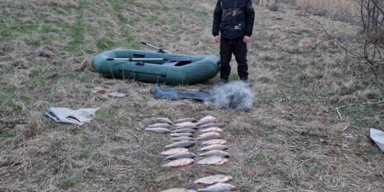 БРАКОНЬЕРИЛИ