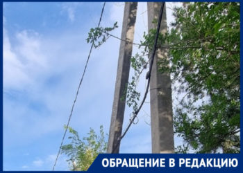 ОТРЕАГИРОВАЛИ