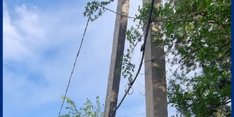 ОТРЕАГИРОВАЛИ