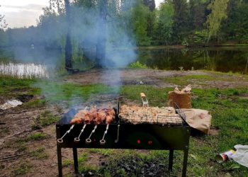 ВВЕДЕНЫ ОГРАНИЧЕНИЯ