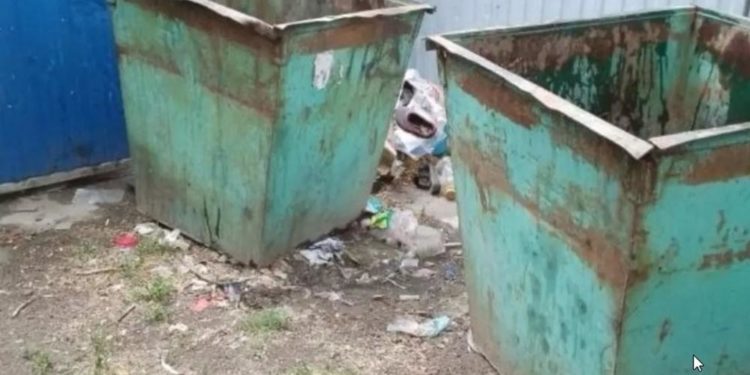 ОБРАТИЛИСЬ В ОБЛАСТЬ