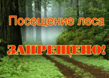 ПРОДЛИЛИ ЗАПРЕТ