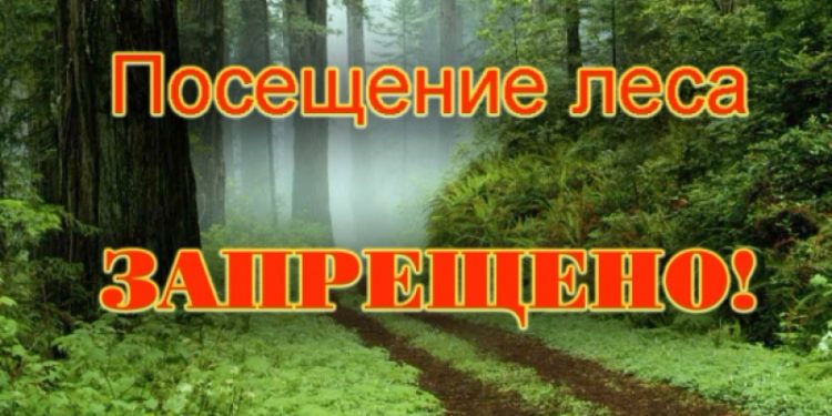 ПРОДЛИЛИ ЗАПРЕТ