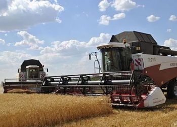 НА ДОНУ СТАРТОВАЛА УБОРКА УРОЖАЯ