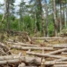 ОБРАЩЕНИЕ В РЕДАКЦИЮ