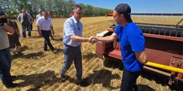 ХОД УБОРКИ ЗЕРНОВЫХ
