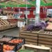 ЗАМОРОЗИЛИ ЦЕНЫ