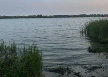 ДОН МЕЛЕЕТ
