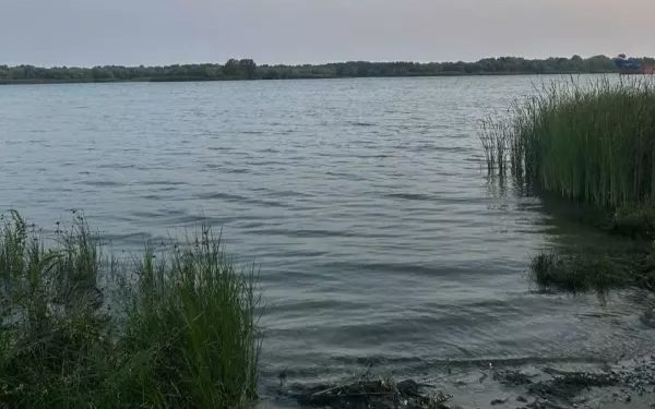 ДОН МЕЛЕЕТ