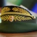 ОЧЕРЕДНОЙ ОЛЕНЬ