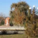 ПОГОДА В ВЫХОДНЫЕ
